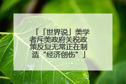 「世界说」美学者斥美政府关税政策反复无常正在制造“经济创伤”