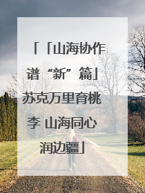 「山海协作谱“新”篇」苏克万里育桃李 山海同心润边疆