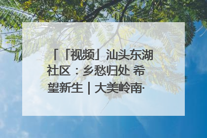 「视频」汕头东湖社区：乡愁归处 希望新生｜大美岭南·百村焕新记