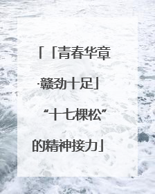 「青春华章·赣劲十足」“十七棵松”的精神接力