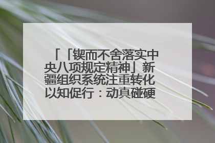 「锲而不舍落实中央八项规定精神」新疆组织系统注重转化以知促行：动真碰硬抓好整改整治