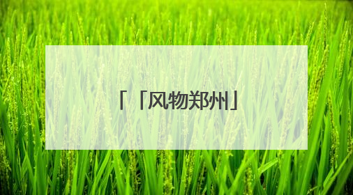 「风物郑州」紫荆山公园：古韵新风两相宜