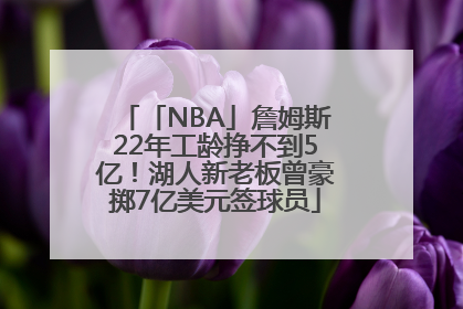 「NBA」詹姆斯22年工龄挣不到5亿！湖人新老板曾豪掷7亿美元签球员