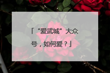 “爱武城”大众号，如何爱？