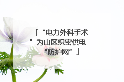 “电力外科手术”为山区织密供电“防护网”