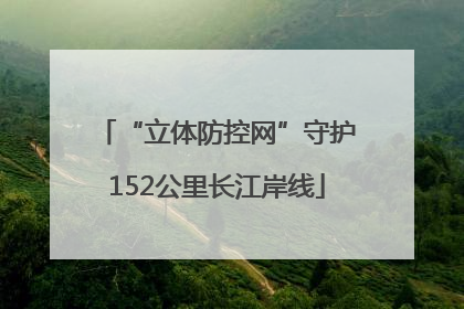 “立体防控网”守护152公里长江岸线