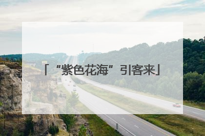“紫色花海”引客来