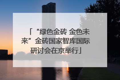 “绿色金砖 金色未来”金砖国家智库国际研讨会在京举行