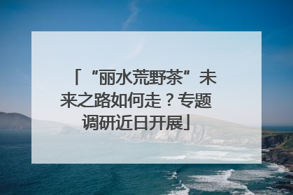 “丽水荒野茶”未来之路如何走？专题调研近日开展