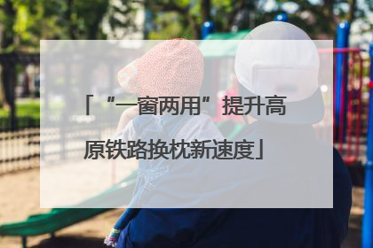 “一窗两用”提升高原铁路换枕新速度