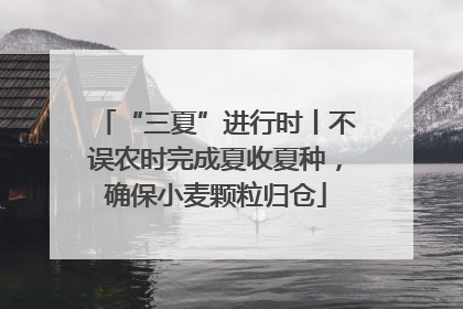 “三夏”进行时丨不误农时完成夏收夏种，确保小麦颗粒归仓