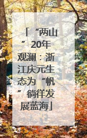 “两山”20年观澜：浙江庆元生态为“帆”徜徉发展蓝海