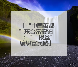 “中国茧都”东台富安镇：“一根丝”编织富民路
