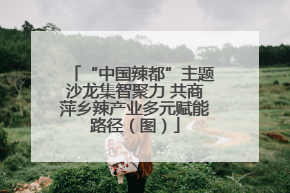 “中国辣都”主题沙龙集智聚力 共商萍乡辣产业多元赋能路径（图）