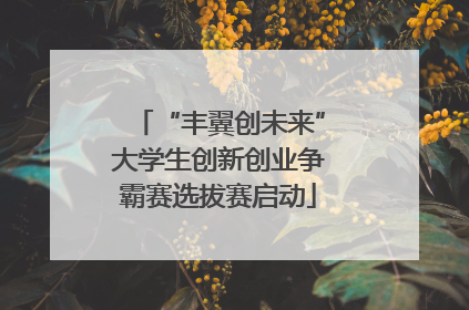 “丰翼创未来”大学生创新创业争霸赛选拔赛启动