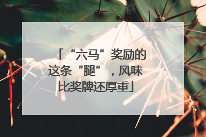 “六马”奖励的这条“腿”，风味比奖牌还厚重