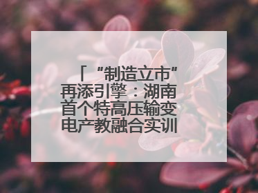 “制造立市”再添引擎：湖南首个特高压输变电产教融合实训基地在衡落户