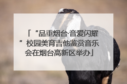 “品重烟台·音爱闪耀”校园美育吉他鉴赏音乐会在烟台高新区举办