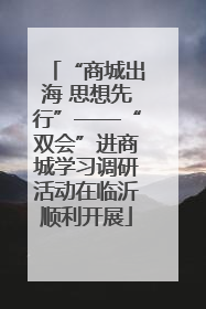 “商城出海 思想先行”——“双会”进商城学习调研活动在临沂顺利开展