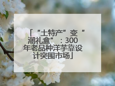 “土特产”变“潮礼盒”：300年老品种洋芋靠设计突围市场