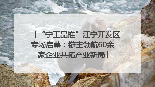 “宁工品推”江宁开发区专场启幕：链主领航60余家企业共拓产业新局
