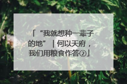“我就想种一辈子的地”｜何以天府，我们用粮食作答②