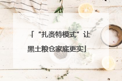 “扎赉特模式”让黑土粮仓家底更实