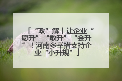 “政”解丨让企业“愿升”“敢升”“会升”！河南多举措支持企业“小升规”