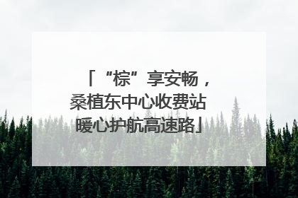 “棕”享安畅，桑植东中心收费站暖心护航高速路