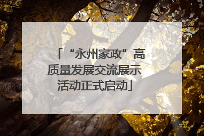 “永州家政”高质量发展交流展示活动正式启动
