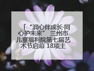 “润心伴成长·同心护未来” 兰州市儿童福利院第七届艺术节启幕 18项主题活动精彩纷呈