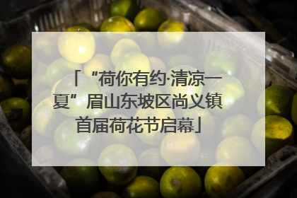 “荷你有约·清凉一夏”眉山东坡区尚义镇首届荷花节启幕