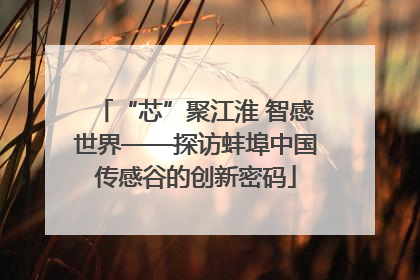“芯”聚江淮 智感世界——探访蚌埠中国传感谷的创新密码