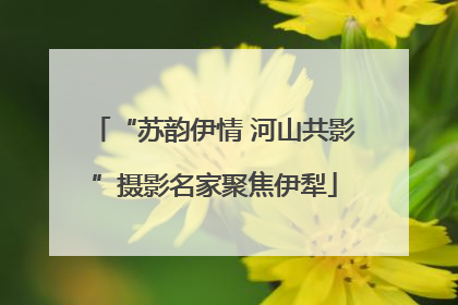 “苏韵伊情 河山共影”摄影名家聚焦伊犁