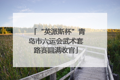 “英派斯杯”青岛市六运会武术套路赛圆满收官