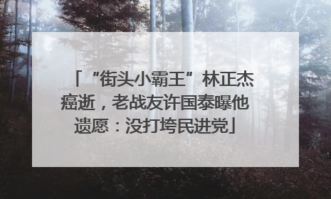“街头小霸王”林正杰癌逝，老战友许国泰曝他遗愿：没打垮民进党