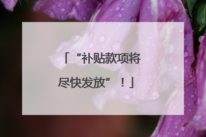 “补贴款项将尽快发放”！