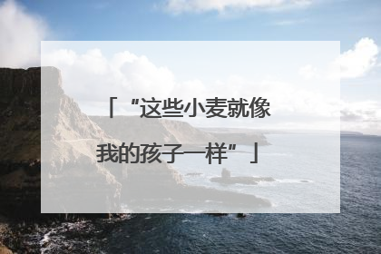 “这些小麦就像我的孩子一样”