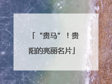 “贵马”！贵阳的亮丽名片