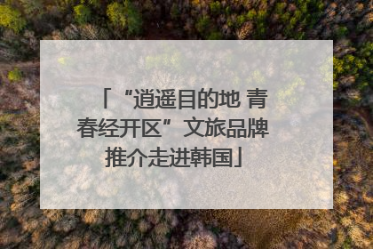 “逍遥目的地 青春经开区”文旅品牌推介走进韩国