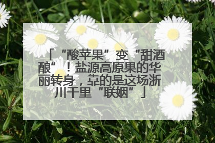 “酸苹果”变“甜酒酿”！盐源高原果的华丽转身，靠的是这场浙川千里“联姻”