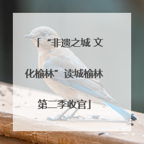 “非遗之城 文化榆林”读城榆林第二季收官