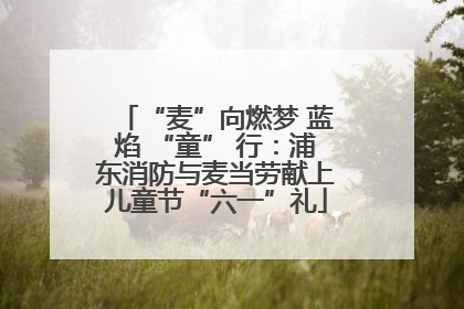 “麦”向燃梦 蓝焰 “童” 行：浦东消防与麦当劳献上儿童节“六一”礼