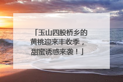 玉山四股桥乡的黄桃迎来丰收季，甜蜜诱惑来袭！