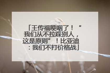 王传福哽咽了！“我们从不拉踩别人，这是原则”！比亚迪：我们不打价格战