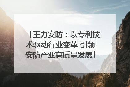 王力安防：以专利技术驱动行业变革 引领安防产业高质量发展