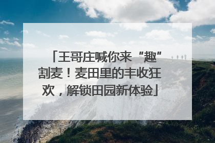 王哥庄喊你来“趣”割麦！麦田里的丰收狂欢，解锁田园新体验