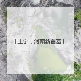王宁，河南新首富