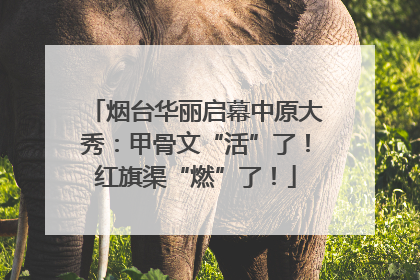 烟台华丽启幕中原大秀：甲骨文“活”了！红旗渠“燃”了！