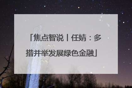 焦点智说丨任婧：多措并举发展绿色金融